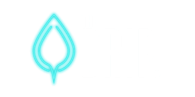 The Drip Logo